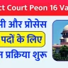 District Court Peon 16 Vacancy 2024 चपरासी और प्रोसेस सर्वर पदों के लिए आवेदन प्रक्रिया और पात्रता